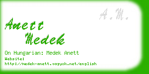 anett medek business card